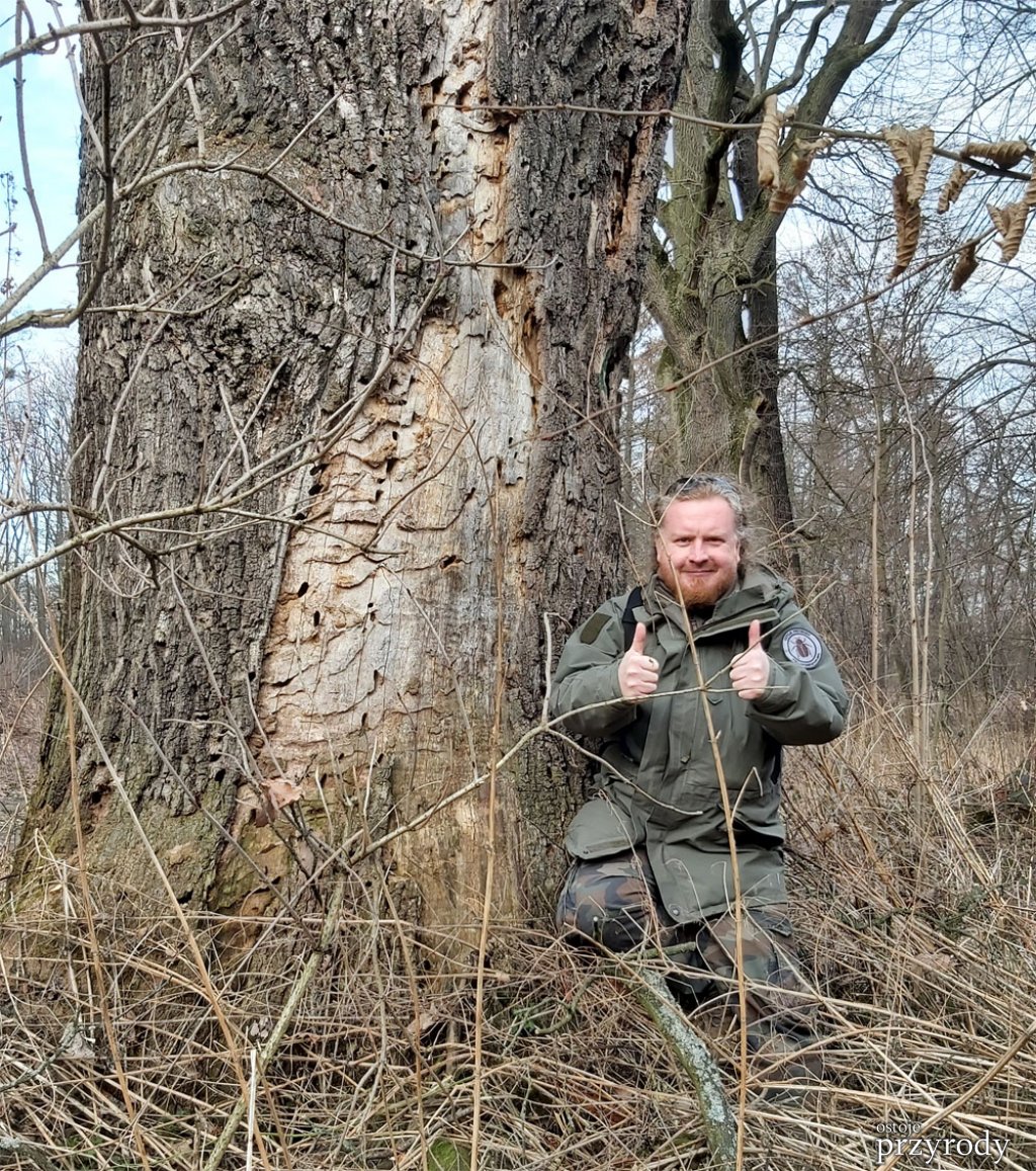 Nowe stwierdzenie kozioroga