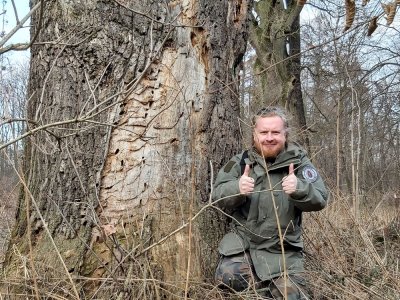 Nowe stwierdzenie kozioroga