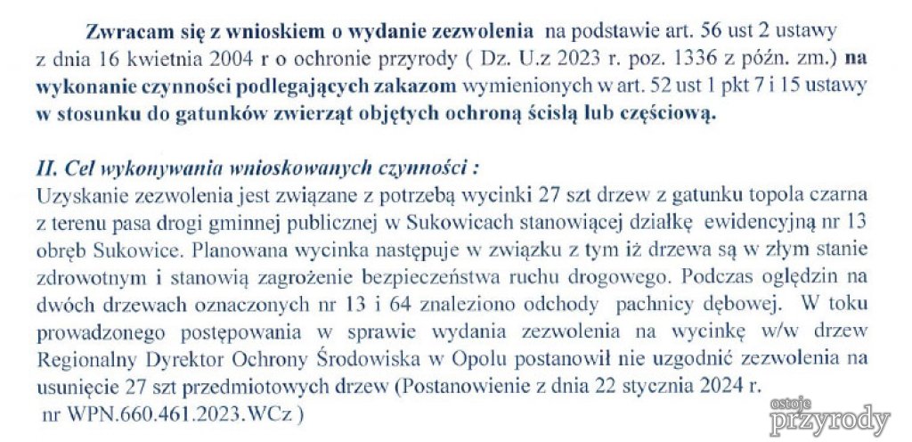 Aleja w Sukowicach do WYCINKI