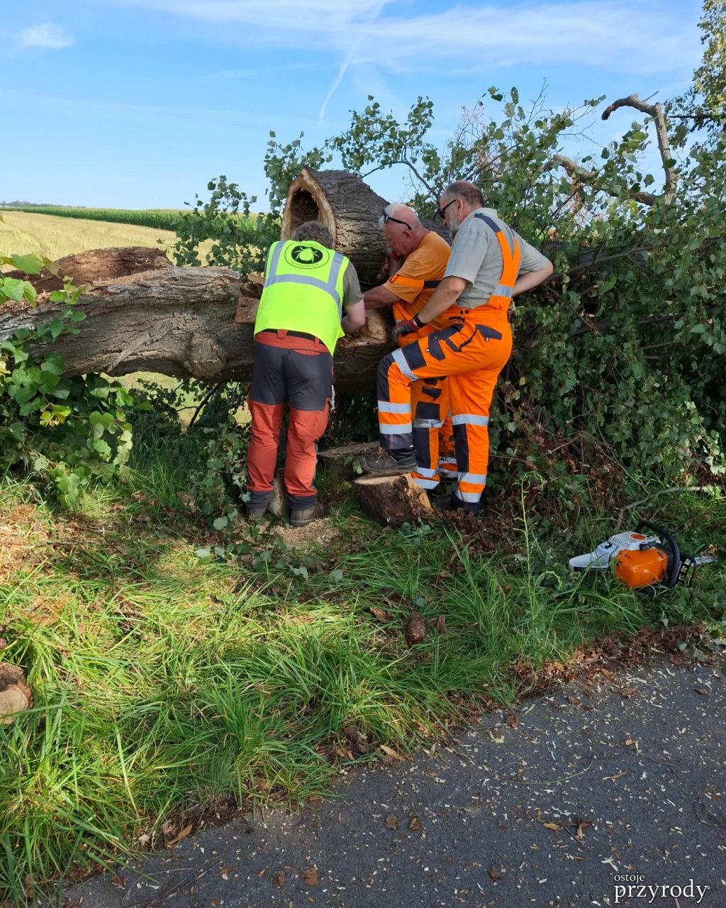 Kolejne działania ratownicze