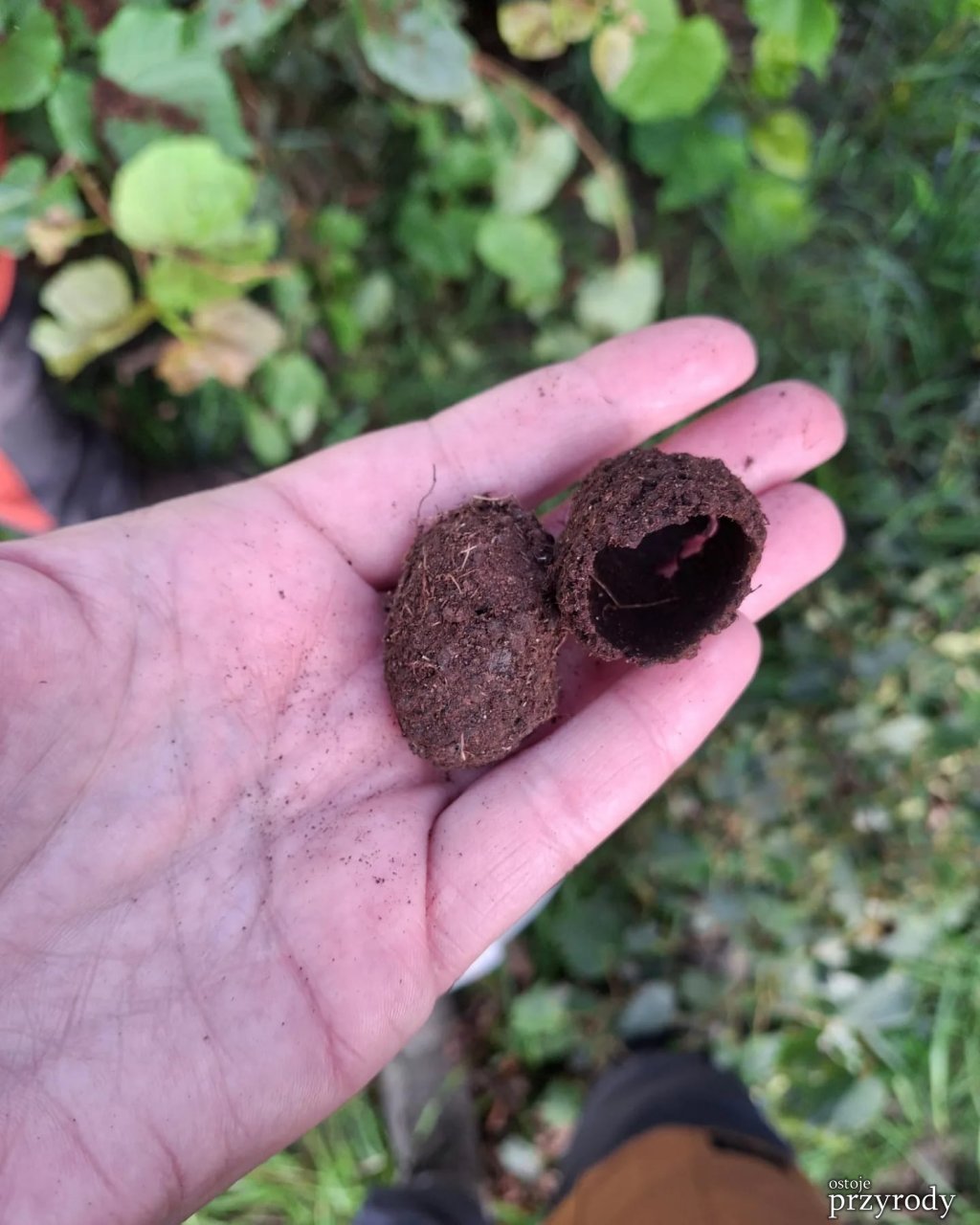 Kolejne działania ratownicze