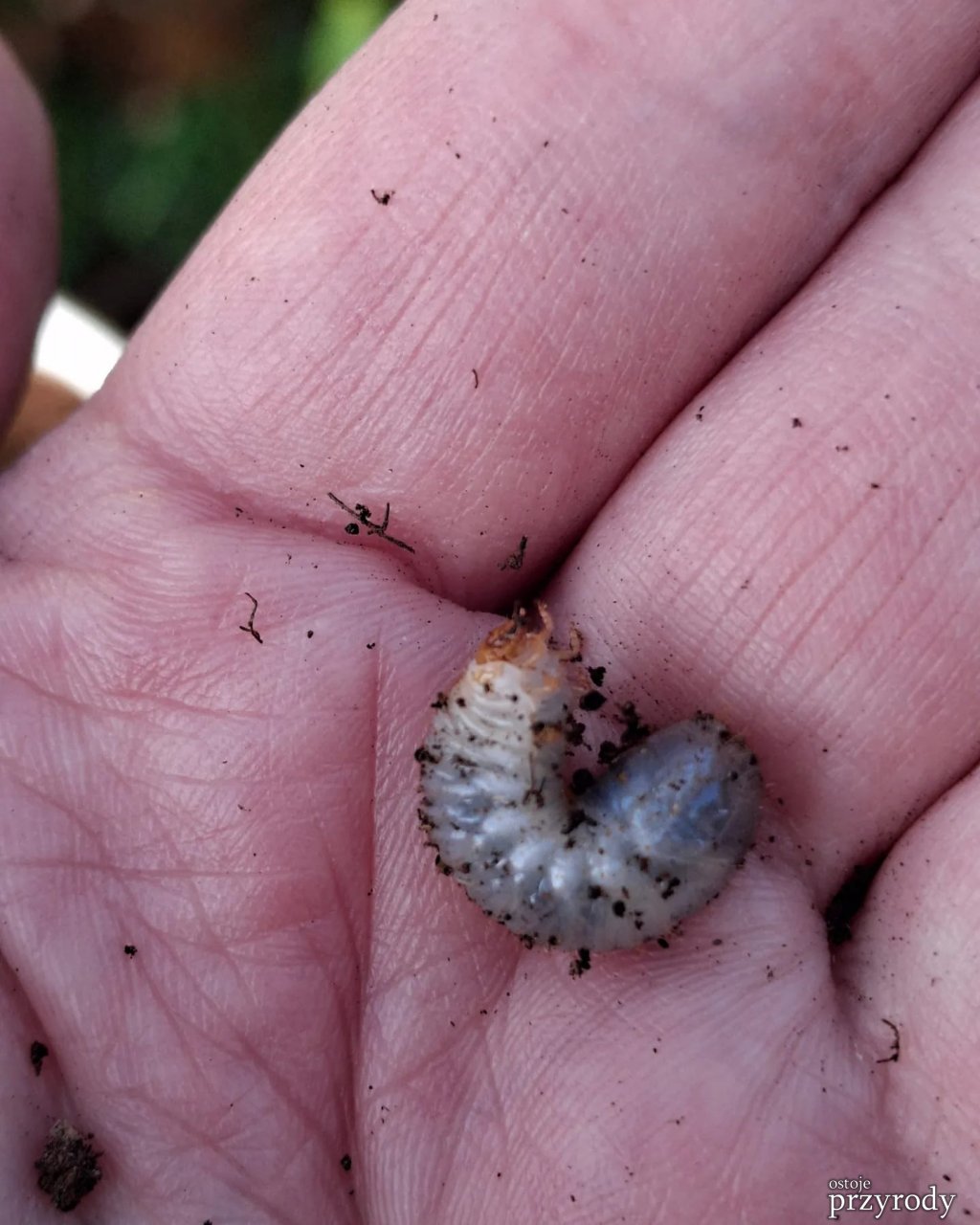 Kolejne działania ratownicze