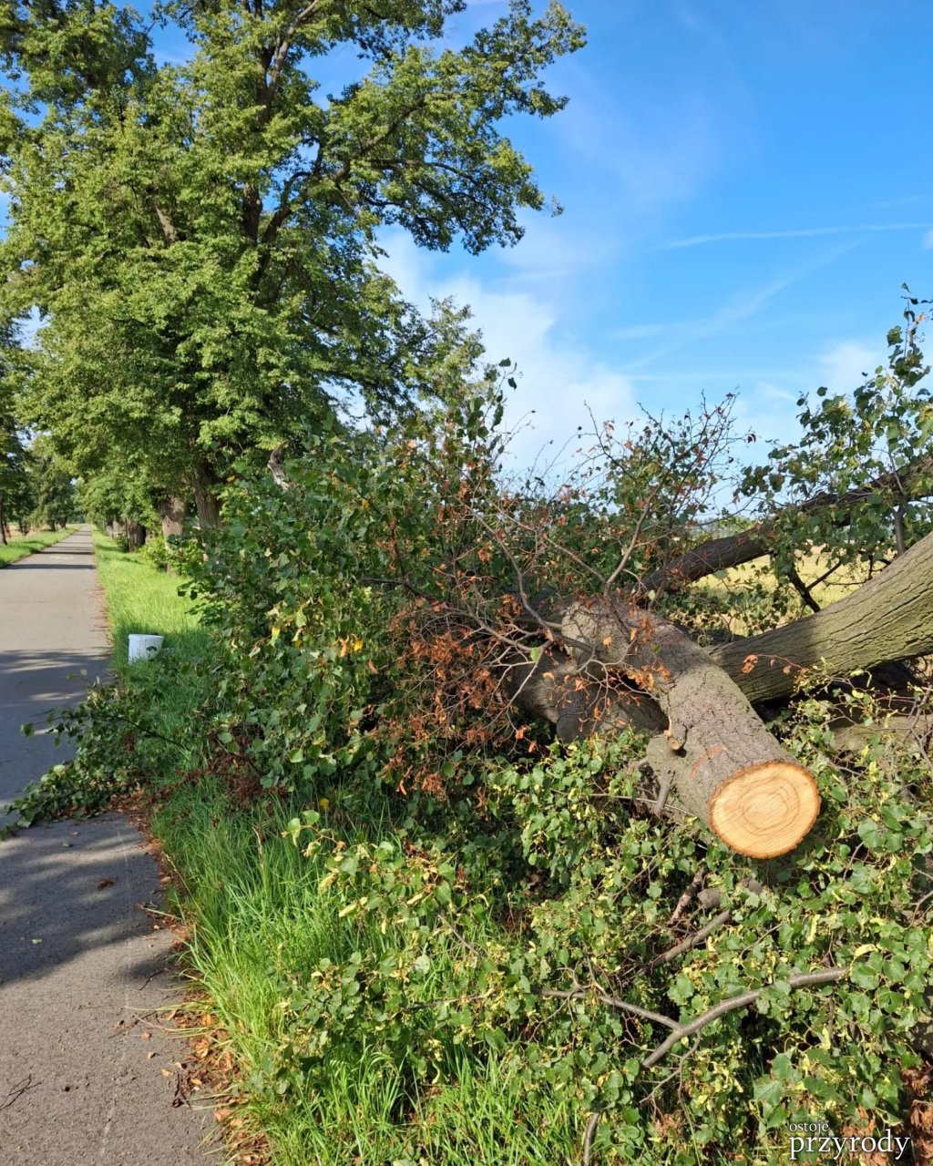 Kolejne działania ratownicze