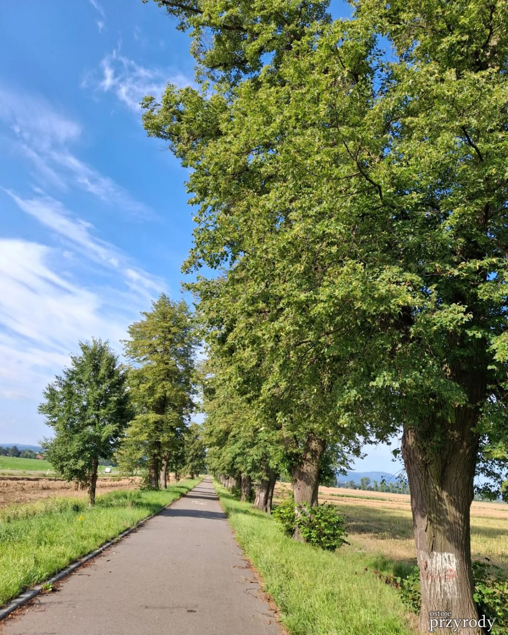 Kolejne działania ratownicze