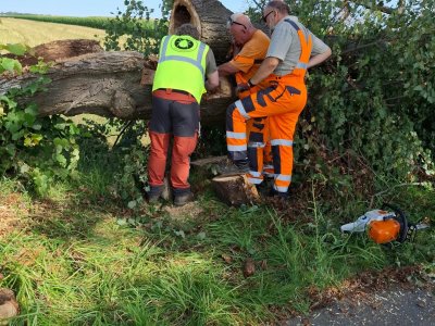 Kolejne działania ratownicze