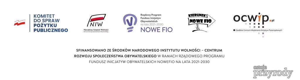 Usłyszeć nietoperze