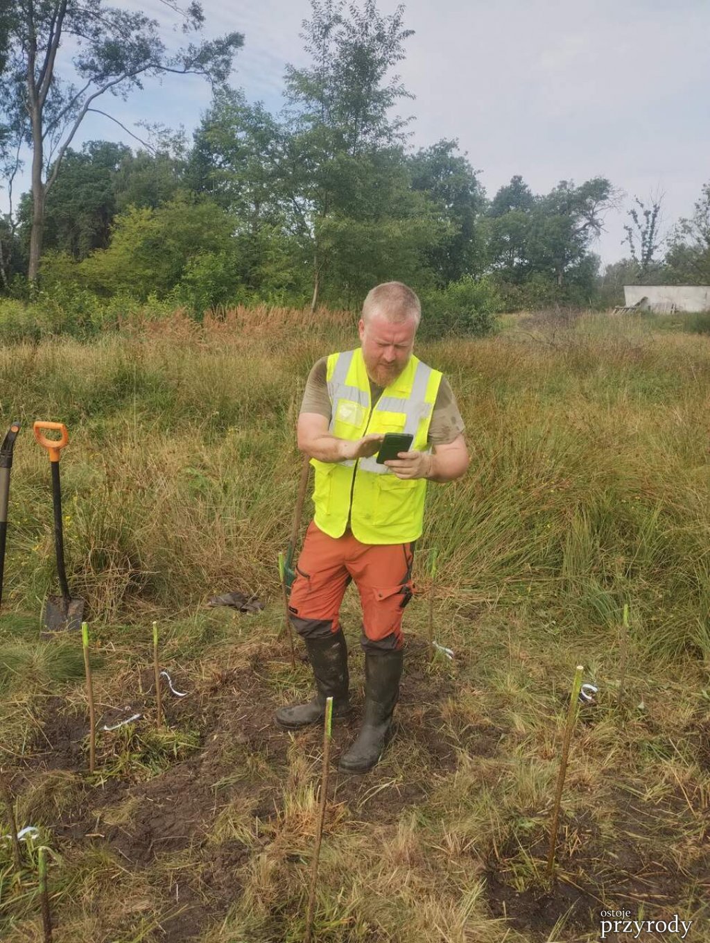 Translokacja kukułki