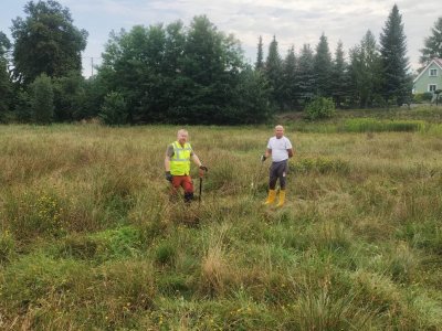 Translokacja kukułki